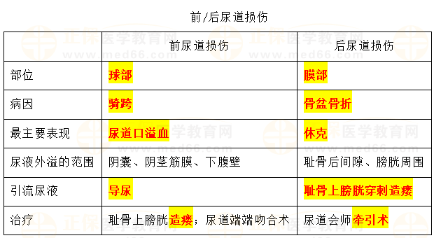 泌尿系統(tǒng)——前及后尿道損傷 泌尿系統(tǒng)——前及后尿道損傷
