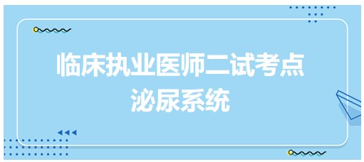 泌尿系統(tǒng) 泌尿系統(tǒng)