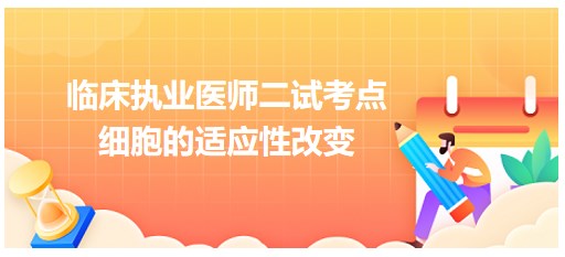 細胞的適應性改變