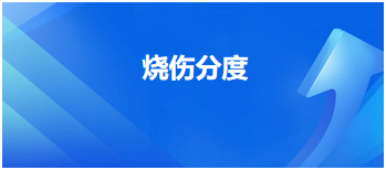 燒傷分度 燒傷分度