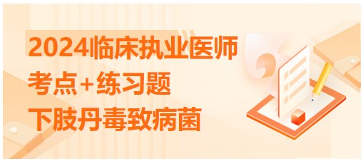 下肢丹毒致病菌 下肢丹毒致病菌