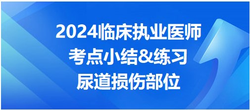 尿道損傷部位 尿道損傷部位