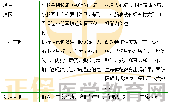 初級(jí)護(hù)師 初級(jí)護(hù)師