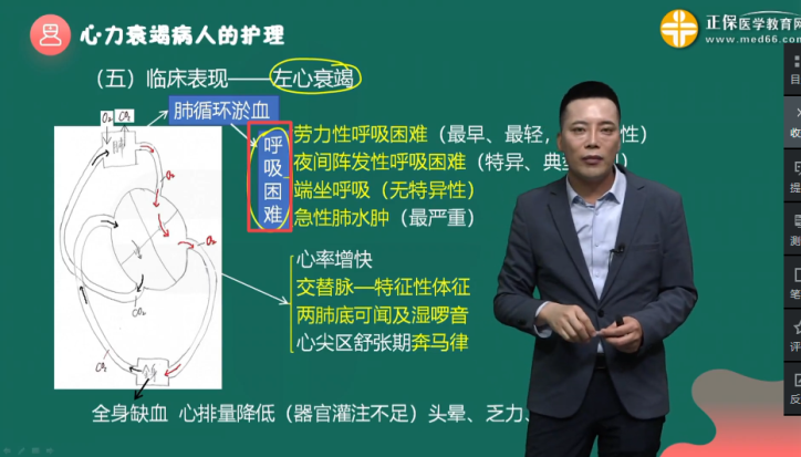 2024初級(jí)護(hù)師考試輔導(dǎo)課程-內(nèi)科-基礎(chǔ)學(xué)習(xí)班-第三章-第2節(jié) 2024初級(jí)護(hù)師考試輔導(dǎo)課程-內(nèi)科-基礎(chǔ)學(xué)習(xí)班-第三章-第2節(jié)