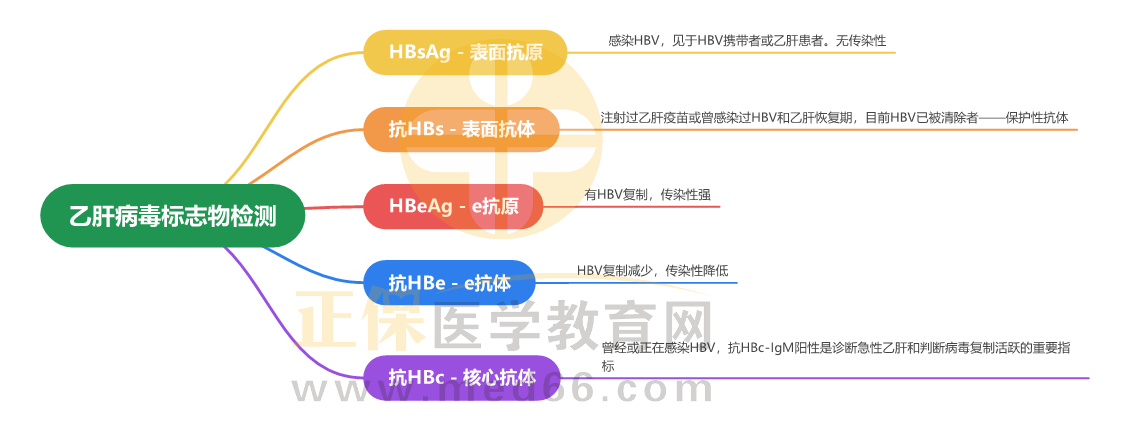 乙肝病毒標(biāo)志物檢測(cè)_1 乙肝病毒標(biāo)志物檢測(cè)_1