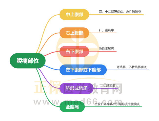 腹痛部位_1 腹痛部位_1