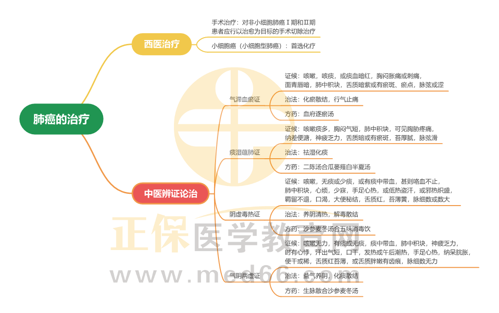 肺癌的治療_1 肺癌的治療_1