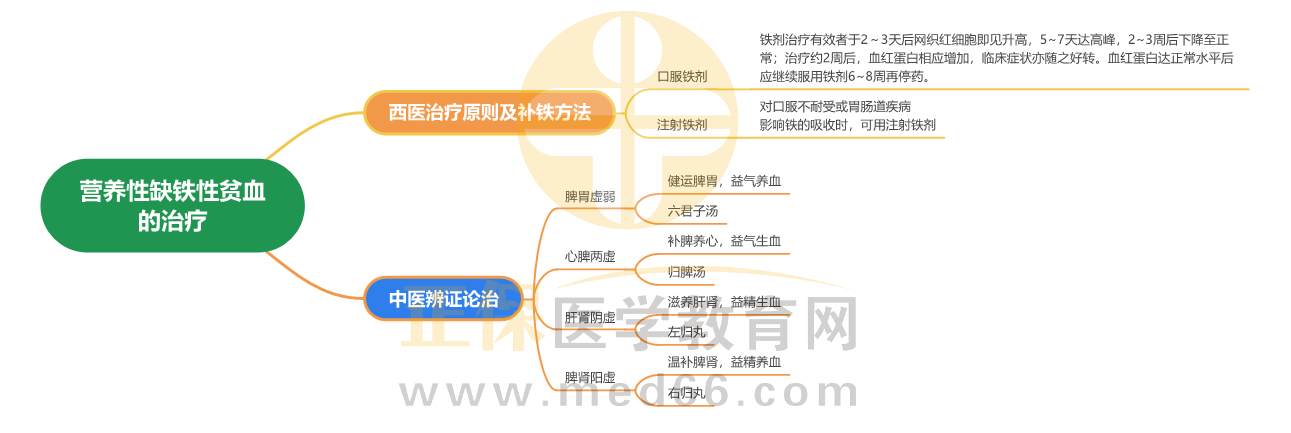 營(yíng)養(yǎng)性缺鐵性貧血的治療_1 營(yíng)養(yǎng)性缺鐵性貧血的治療_1