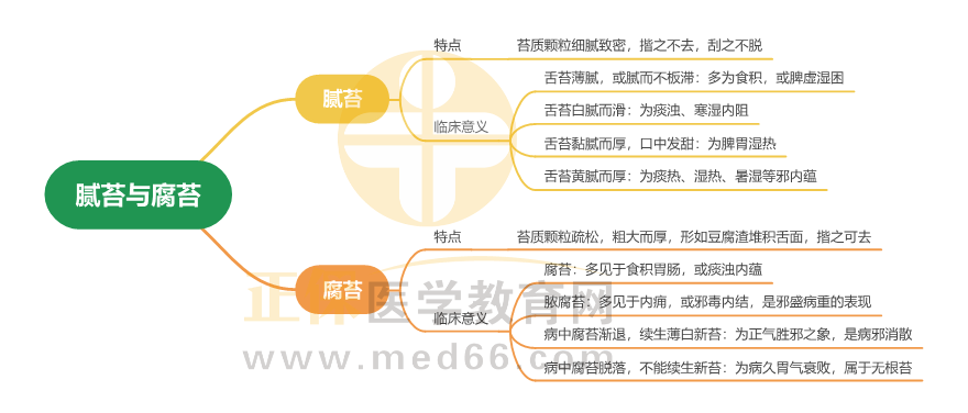 膩苔與腐苔_1 膩苔與腐苔_1
