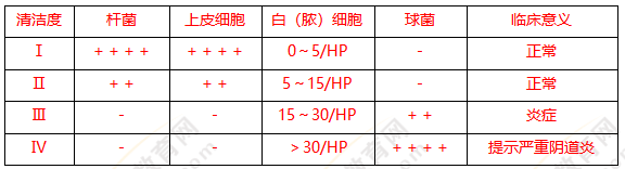 陰道清潔度判斷標準